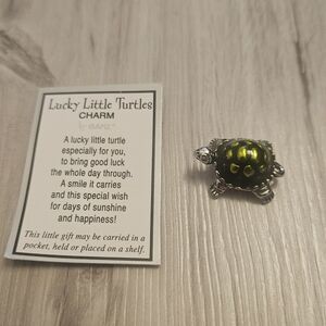 Ganz Lucky Little Turtle Charm with Story Card New Pocket Token